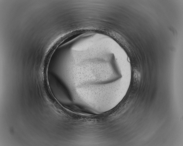 X0000113370676200910061101