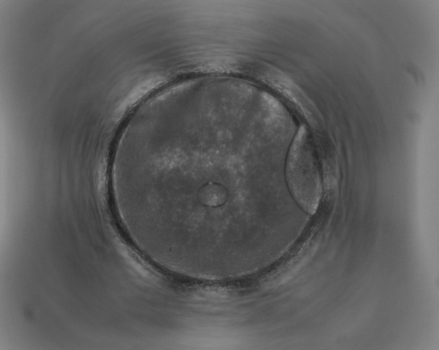 X0000113370677200910061101