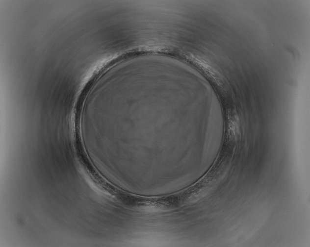 X0000113370678200910061101