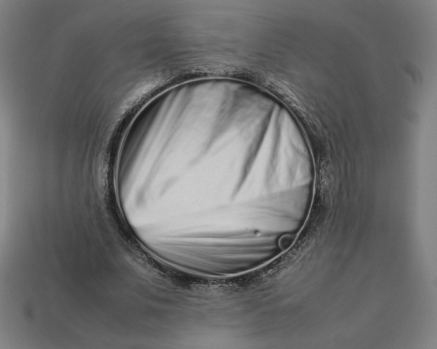 X0000113370679200910061101