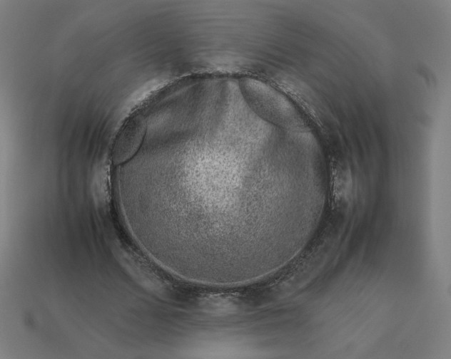 X0000113370680200910061101