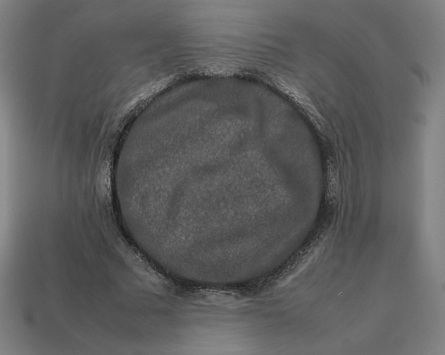 X0000113370681200910061101