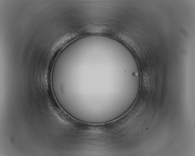 X0000113370682200910061101