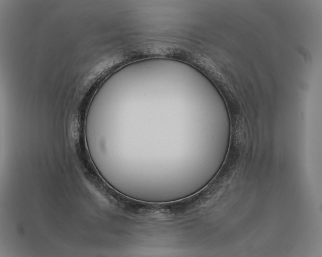 X0000113370683200910061101