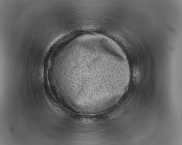 X0000113370684200910061101