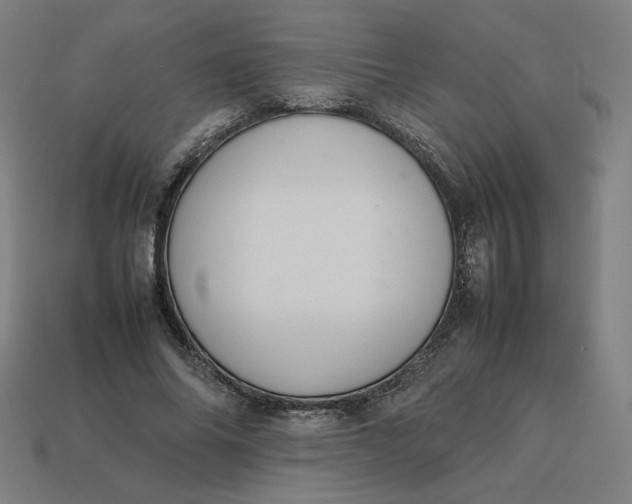 X0000113370686200910061101