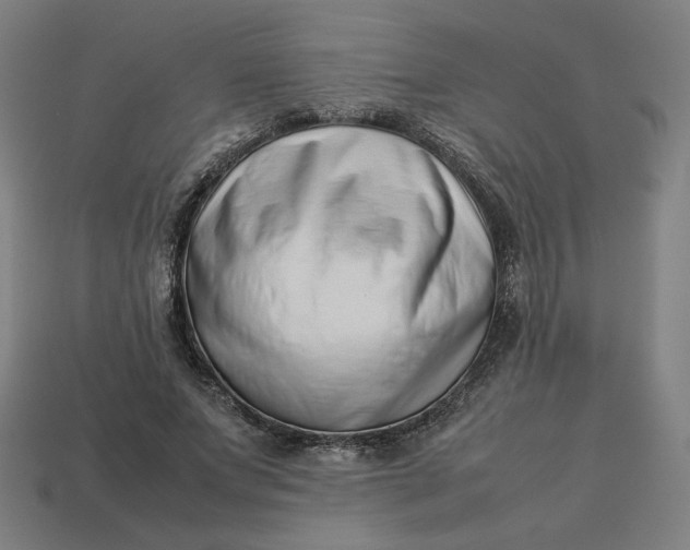 X0000113370687200910061100