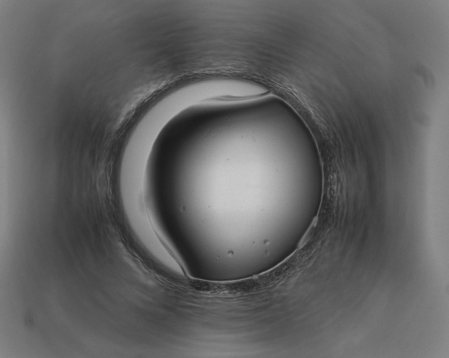 X0000113370688200910061100