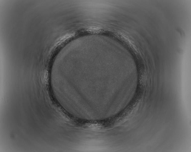 X0000113370689200910061100