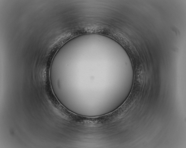 X0000113370690200910061100