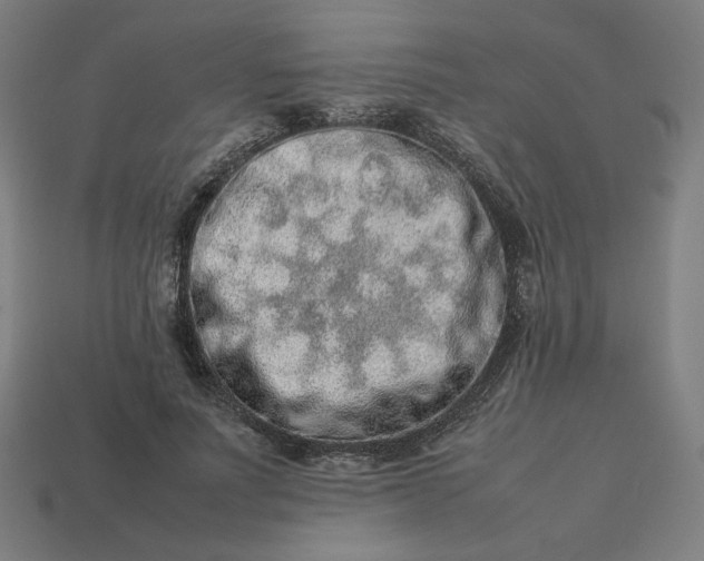 X0000113370691200910061100