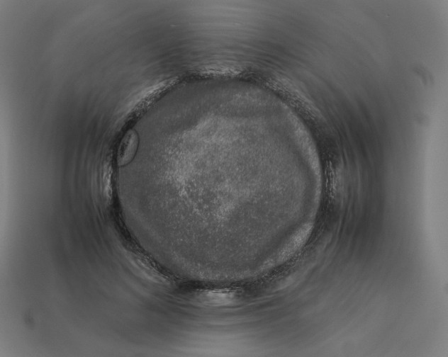 X0000113370692200910061100