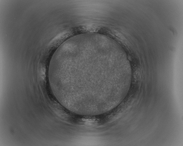 X0000113370693200910061100