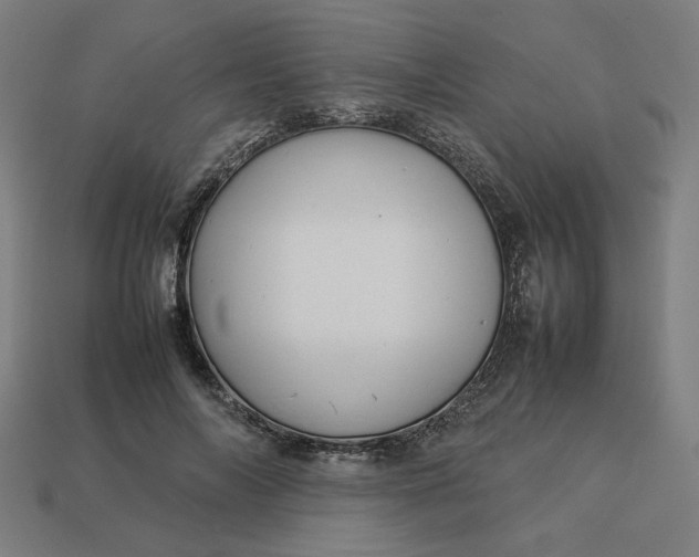 X0000113370694200910061100