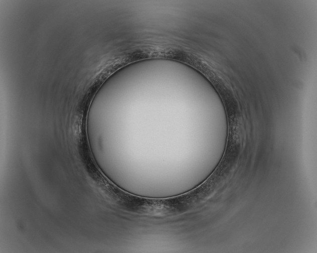 X0000113370695200910061100