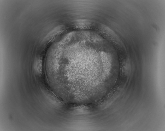 X0000113370696200910061100