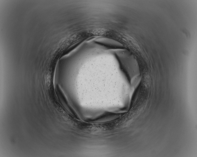 X0000113370697200910061100