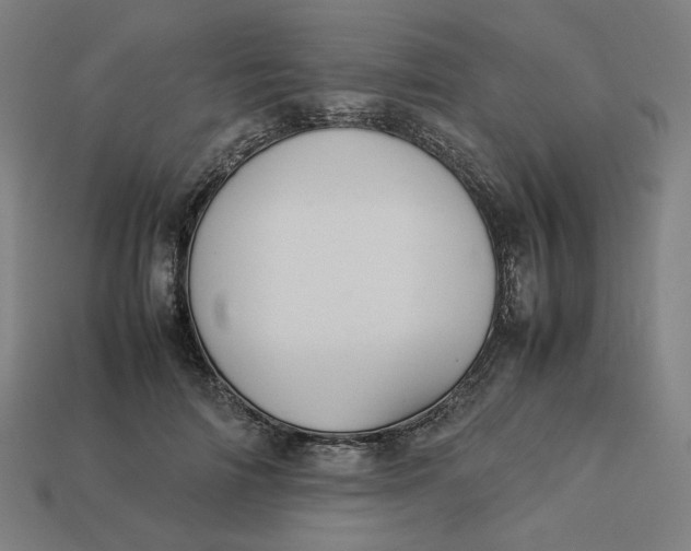 X0000113370698200910061100