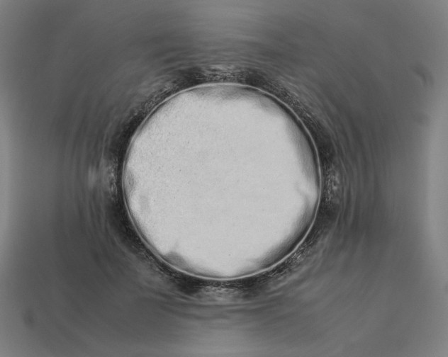 X0000113370699200910061100