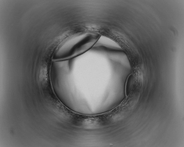 X0000113370700200910061100