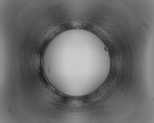 X0000113370702200910061100