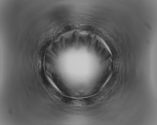 X0000113370703200910061100