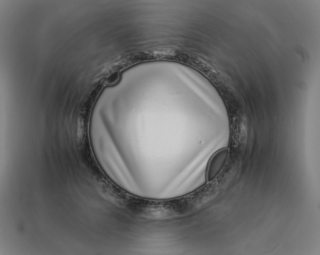 X0000113370704200910061100