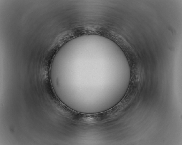 X0000113370706200910061100