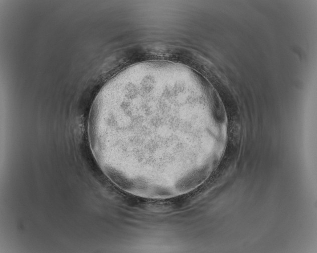 X0000113370707200910061100