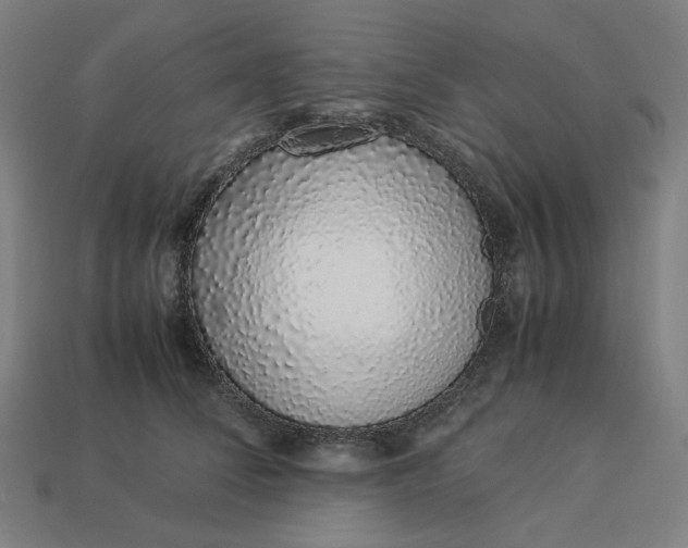 X0000113370708200910061100