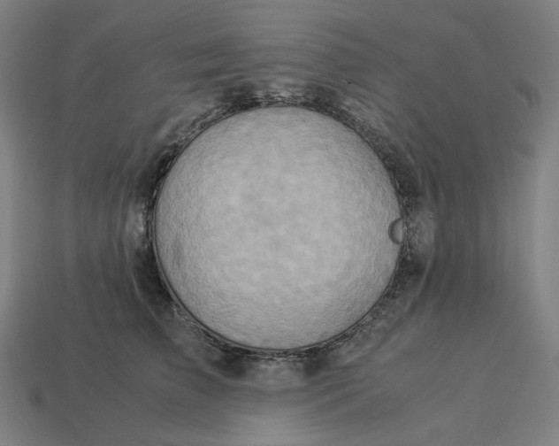 X0000113370709200910061100