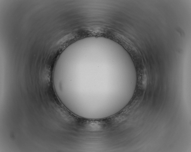 X0000113370710200910061100