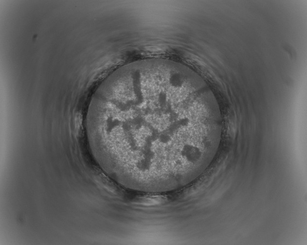 X0000113370711200910061100