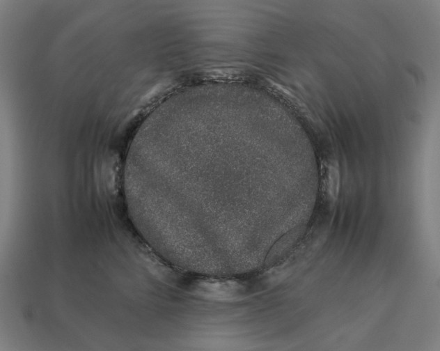 X0000113370712200910061100