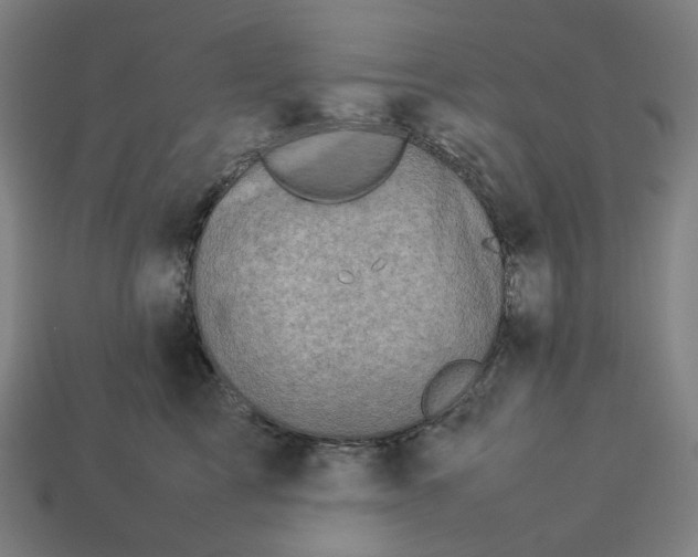 X0000113370713200910061100