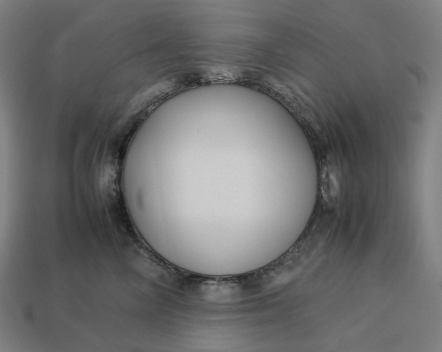 X0000113370714200910061100