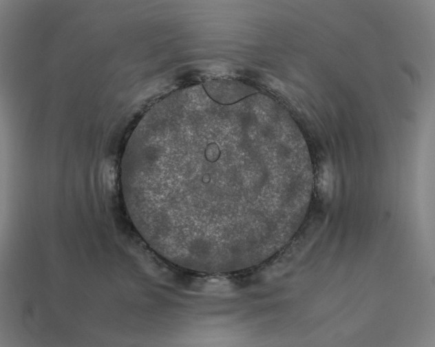 X0000113370715200910061100