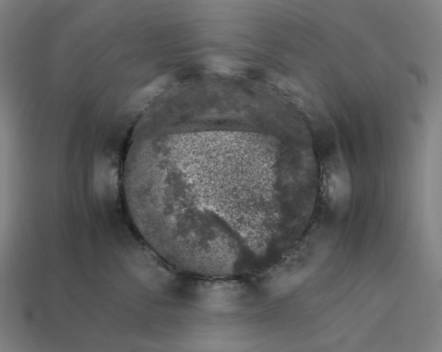 X0000113370716200910061100