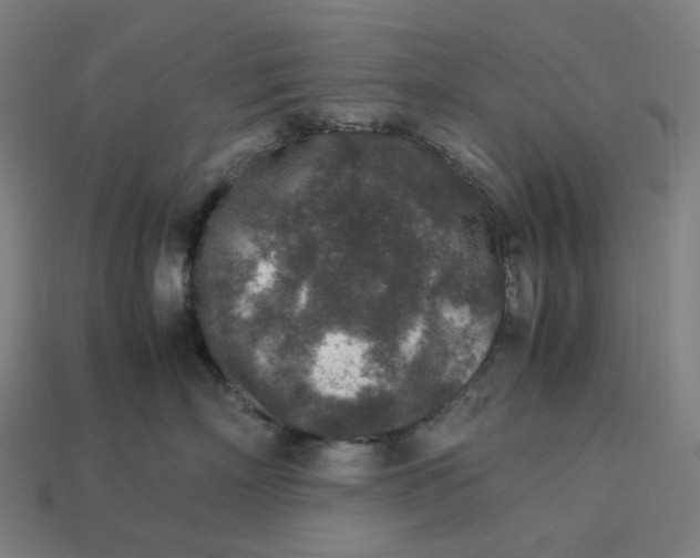 X0000113370718200910061100