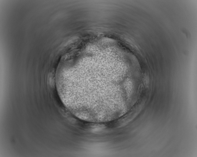 X0000113370719200910061100