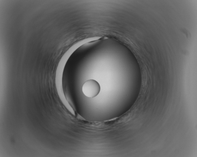 X0000113370720200910061100