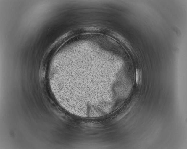 X0000113370723200910061059