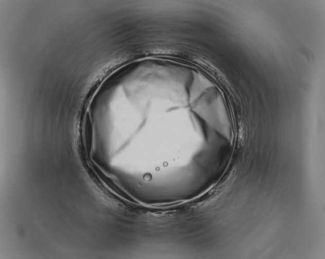 X0000113370725200910061100