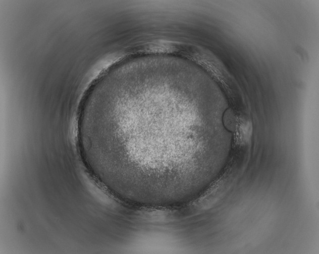 X0000113370726200910061100