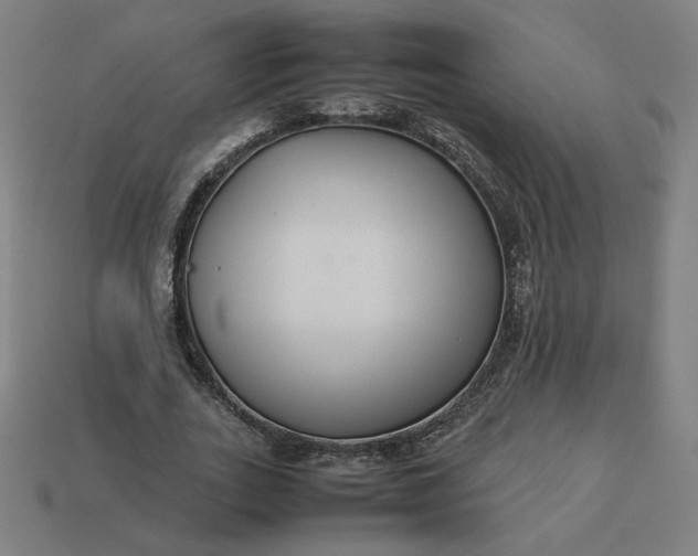 X0000113370727200910061100