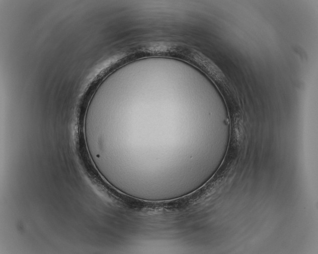 X0000113370728200910061100