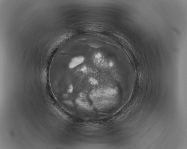 X0000113370729200910061100