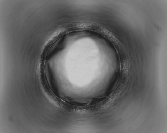 X0000113370730200910061100