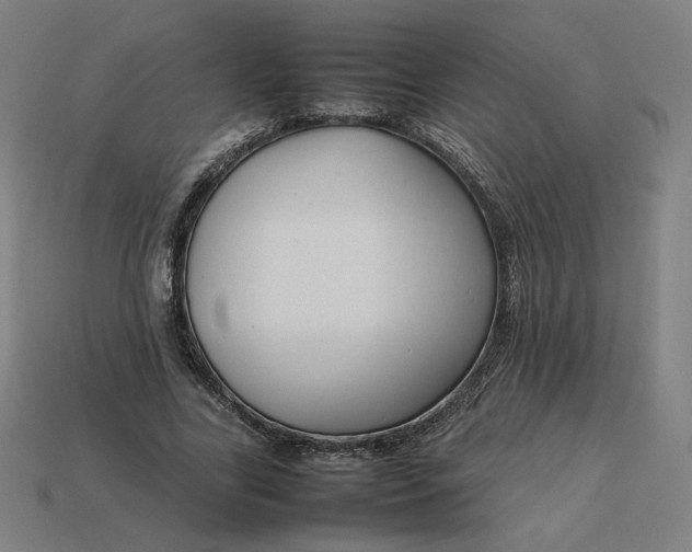 X0000113370731200910061100