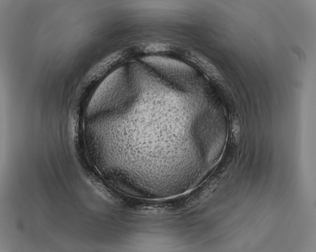 X0000113370732200910061100